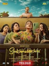 Sookshmadarshini (2025) HDRip Telugu (Original Version) Full Movie Watch Online Free